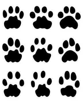 Black footprints of leopard Stock Illustration