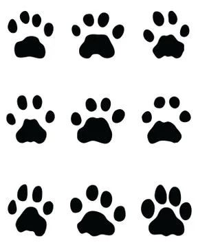 Black footprints of leopard Stock Illustration