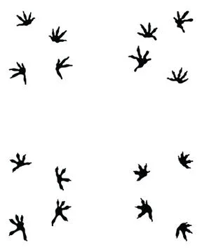 Black footprints of lizard Stock Illustration