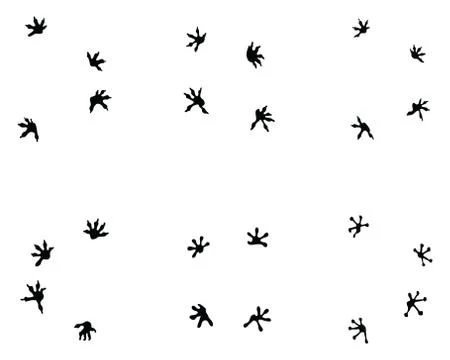 Black footprints of lizard Stock Illustration