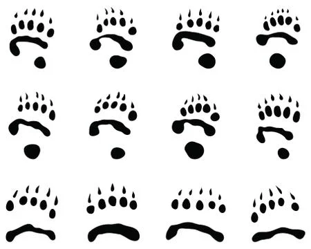Black footprints of panda Stock Illustration