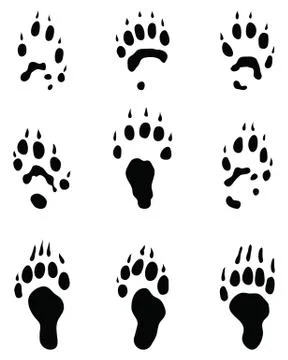 Black footprints of polecat Stock Illustration