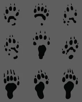 Black footprints of polecat Stock Illustration