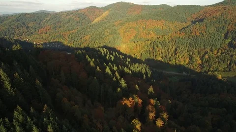 Black forest at autumn Stock Footage 69861442