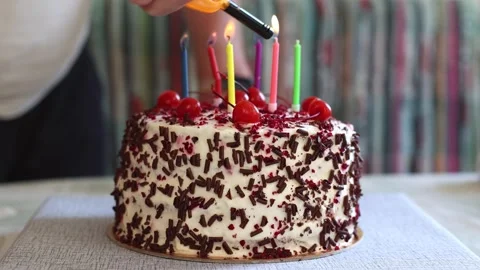 Black Forest cake with cherries, chocolate chips and whipped cream. Stock Footage 277276063