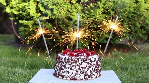 Black Forest cake with cherries, chocolate chips and whipped cream. Stock Footage 277276091