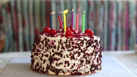 Black Forest cake with cherries, chocolate chips and whipped cream. Stock Footage 279565999