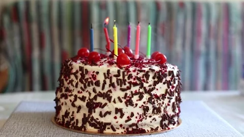 Black Forest cake with cherries, chocolate chips and whipped cream. Stock Footage 329114461