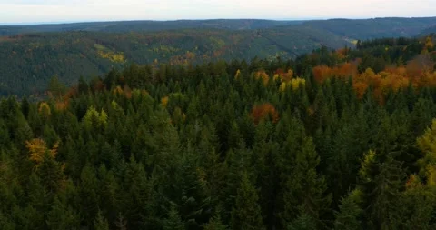 Black forest in Germany  Stock Footage 137607725