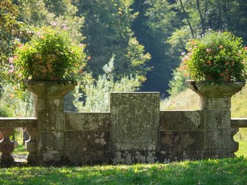 The black forest in germany Foto stock