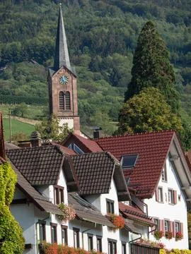 The black forest in germany Stock Photos