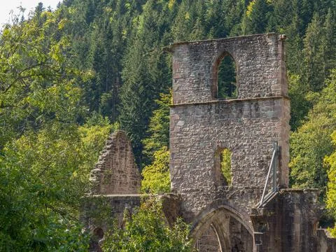 Black forest in germany Stock Photos