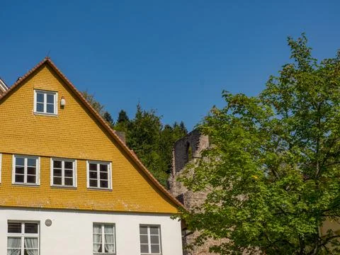 Black forest in germany Foto stock