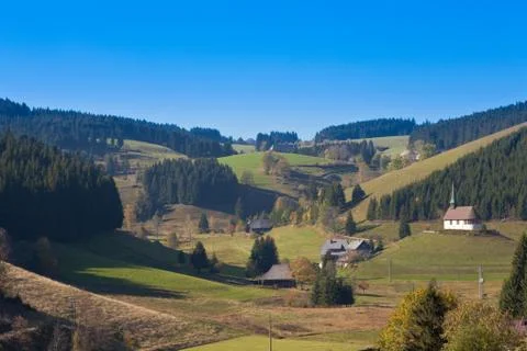 Black forest landscape Stock Photos
