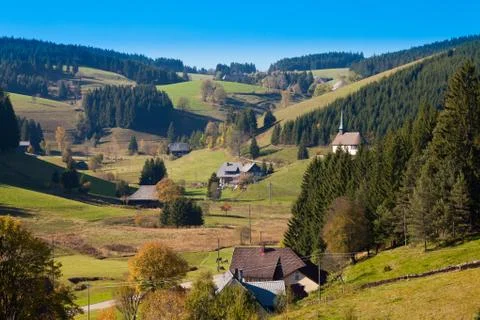 Black forest landscape Stock Photos