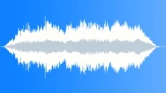 The Black Forest Stock Music