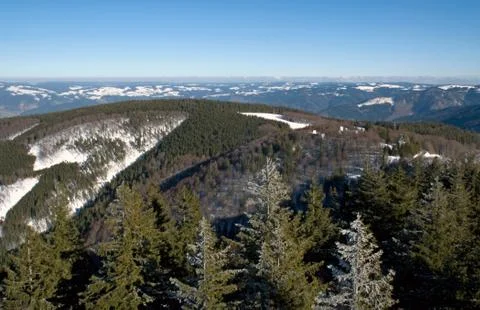 Black-forest Stock Photos