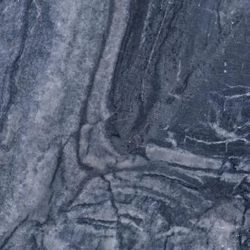 Black Forest 写真素材