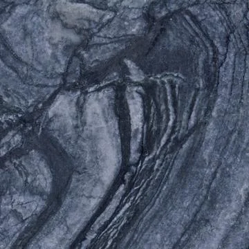 Black Forest Stock Photos