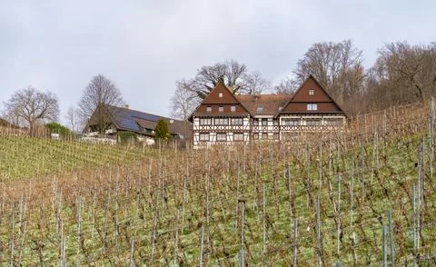 Black forest scenery Stock Photos