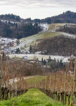 Black forest scenery Fotos Stock