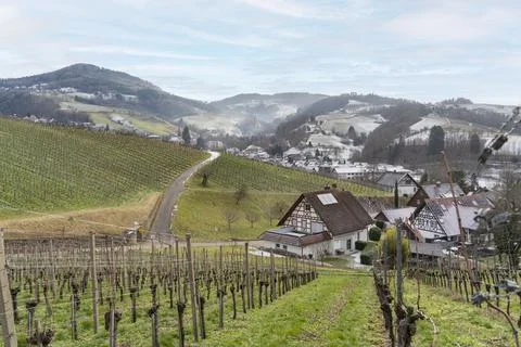 Black forest scenery Fotos Stock