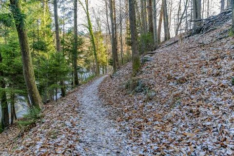 Black forest scenery Stockfoto's