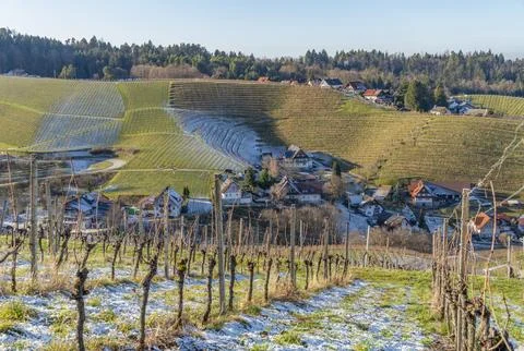 Black forest scenery Stock Photos