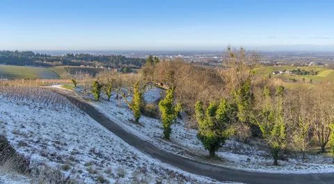 Black forest scenery Stockfoto's