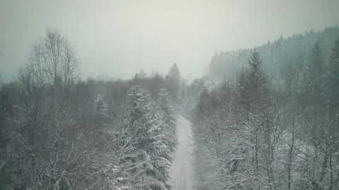 Black forest in South Germany at winter, trees and roads covered in snow 스톡 동영상 317018805
