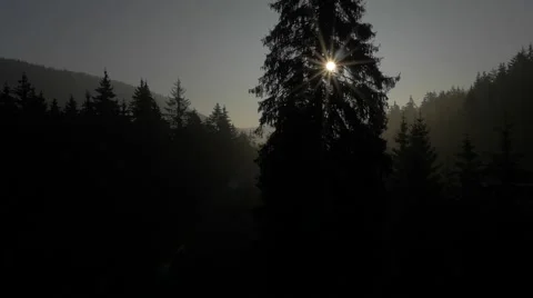 Black Forest Sunrise Impression Stock Footage 48013000