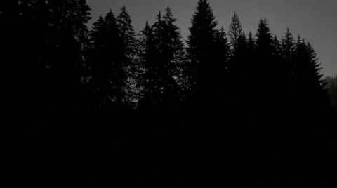 Black Forest Sunrise Impression Stock Footage 48013692