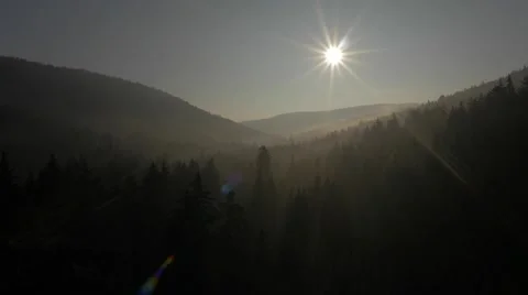 Black Forest Sunrise Impression Stock Footage 48013779
