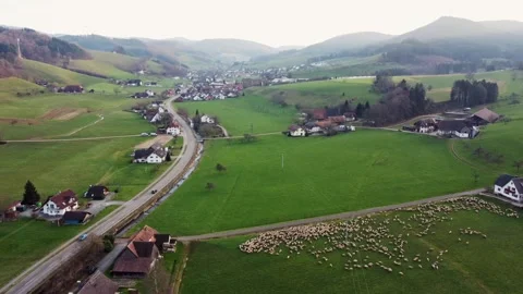Black forest valley / 4K Stock Footage 276163047