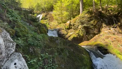 Black Forest Waterfall Flowing Through Mossy Rocks in Sunny Forest Stock Footage 334683945