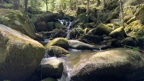 Black Forest Waterfall Flowing Through Mossy Rocks in Sunny Forest Stock Footage 334683947