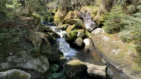 Black Forest Waterfall Flowing Through Mossy Rocks in Sunny Forest Stock Footage 334683957