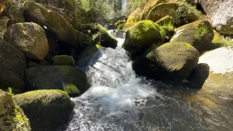 Black Forest Waterfall Flowing Through Mossy Rocks in Sunny Forest Stock Footage 334688775