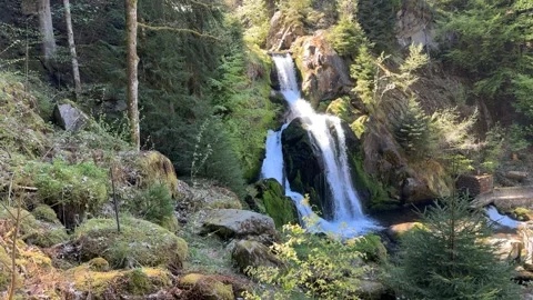 Black Forest Waterfall Flowing Through Mossy Rocks in Sunny Forest Stock Footage 334688907