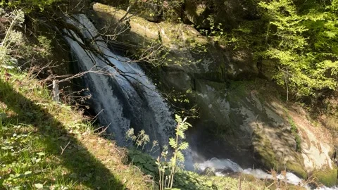 Black Forest Waterfall Flowing Through Mossy Rocks in Sunny Forest Stock Footage 334688922