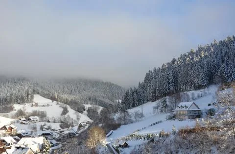 Black Forest in Winter - Germany Stock Photos