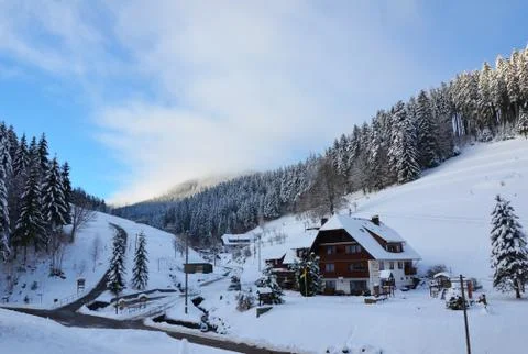 Black Forest in Winter - Germany Stock Photos
