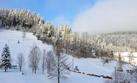 Black Forest in Winter - Germany Stock Photos