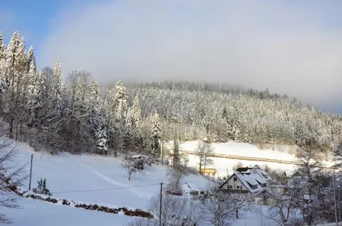 Black Forest in Winter - Germany Stock Photos