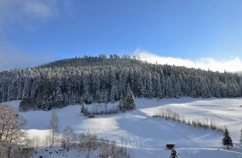 Black Forest in Winter - Germany Stock Photos