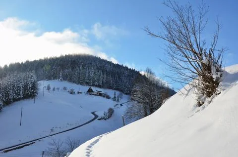Black Forest in Winter - Germany Stock Photos