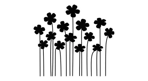 Black four leaf clover flowers on white Stockillustratie