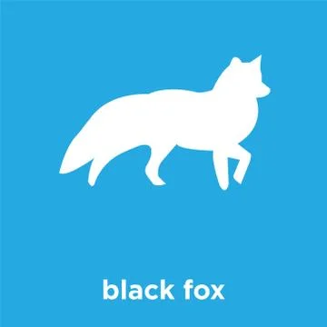 Black fox icon isolated on blue background Illustrazione stock