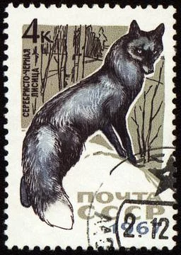 Black fox on post stamp Stock Photos