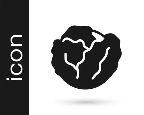 Black Fresh cabbage vegetable icon isolated on white background. Vector Ilustración de archivo